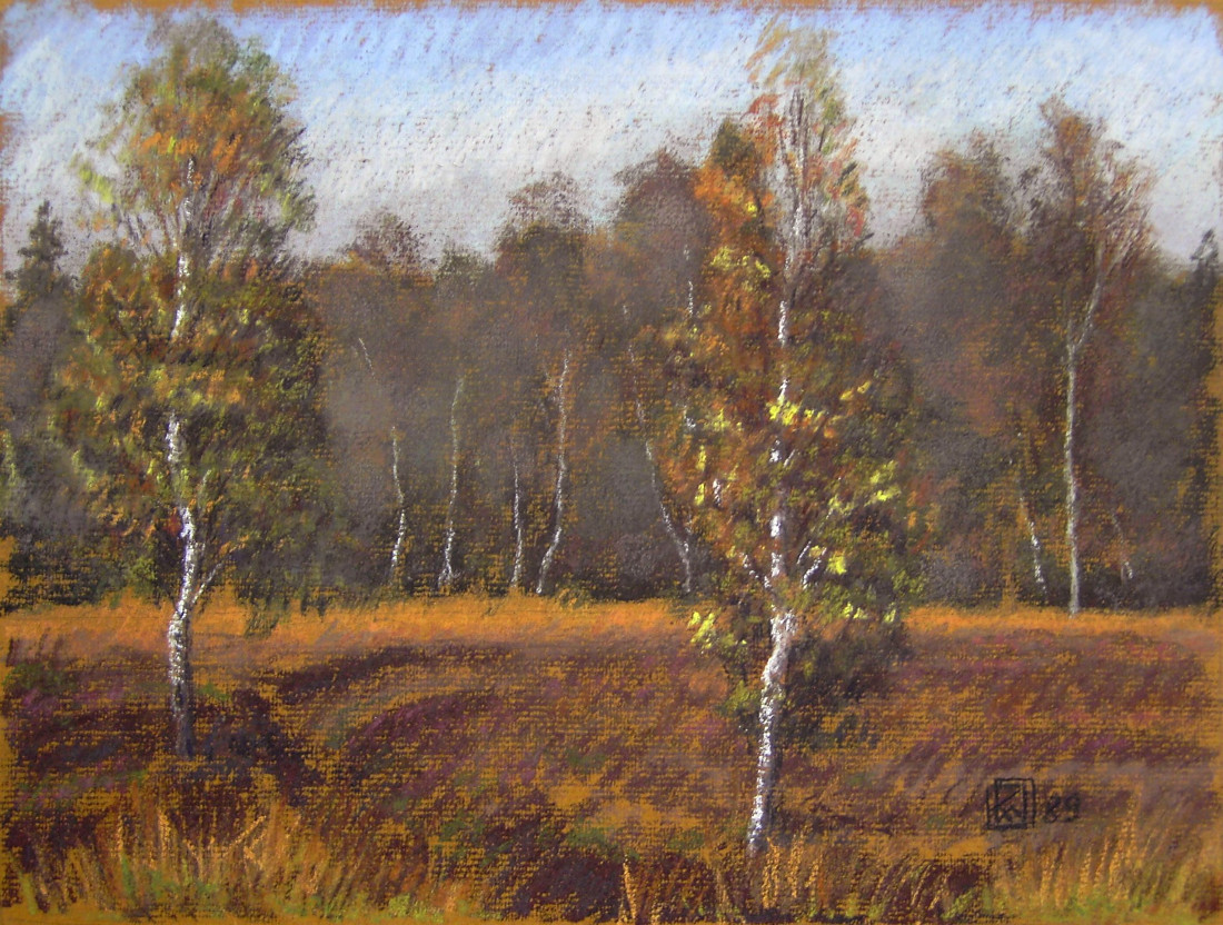 schoenramer filz